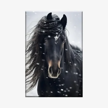 لوحة خيل - رأس حصان أسود - ثلوج متساقطة - هادئ - لوحات حائط - لوحات كانفاس، لوحات جدارية