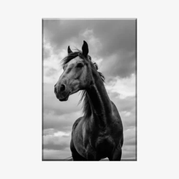 لوحة خيل - خيل جميل - سماء غائمة - درامي - لوحات فن عصري - لوحات كانفاس