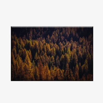 WL3803472_MockupOhneRhamen