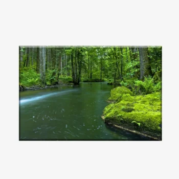 WL3803479_MockupOhneRhamen
