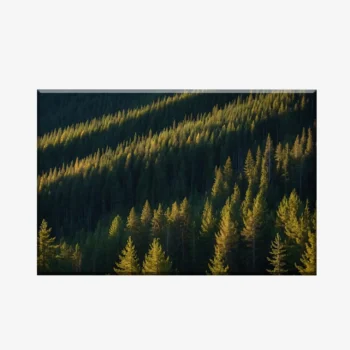 WL3803483_MockupOhneRhamen