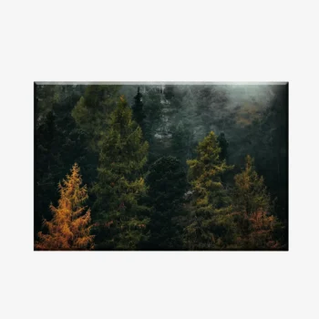 WL3803487_MockupOhneRhamen