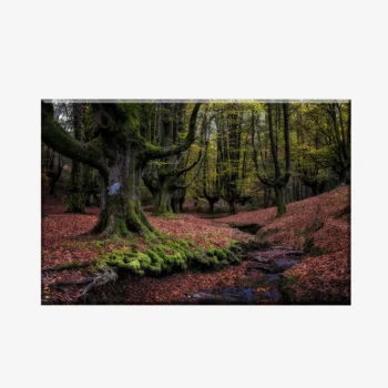 WL3803490_MockupOhneRhamen
