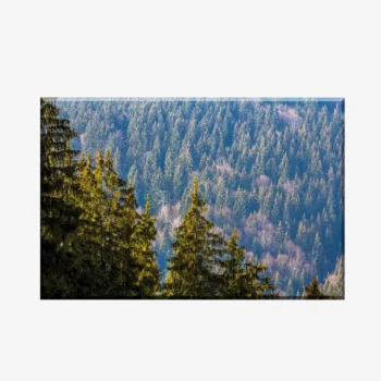WL3803494_MockupOhneRhamen
