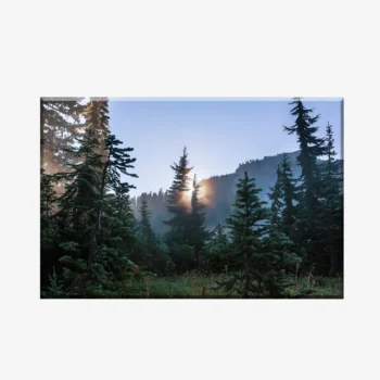 WL3803501_MockupOhneRhamen