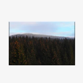 WL3803505_MockupOhneRhamen