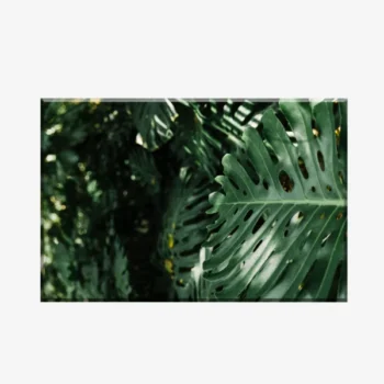 لوحات كانفاس جدارية نباتات  PLA1