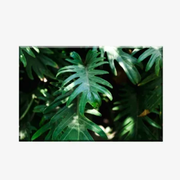 لوحات كانفاس جدارية نباتات  PLA2
