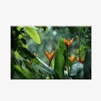 لوحات كانفاس جدارية نباتات  PLA7